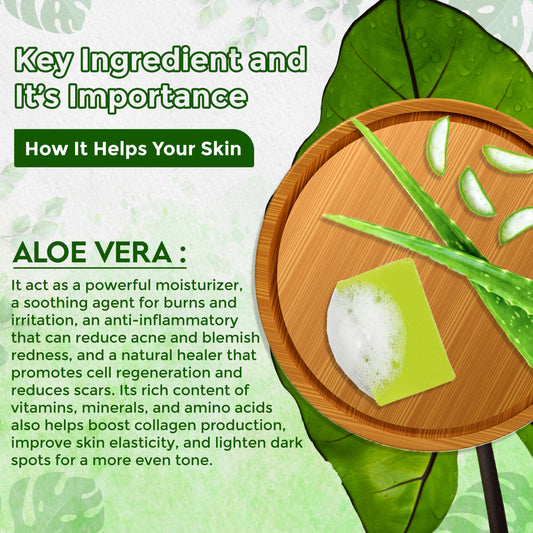 Khadi Omorose Ayurvedic Aloe Vera Handmade Herbal Soap, Hydrates and Nourishes Skin, Vitamin Rich, Maintains pH Levels, Pack of 3, 100g Each, 300g Total