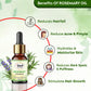 Khadi Omorose Rosemary Essential Oil, Pure Natural Undiluted, for Hair Growth, Skin Care, Hair Fall Control, 12 ml